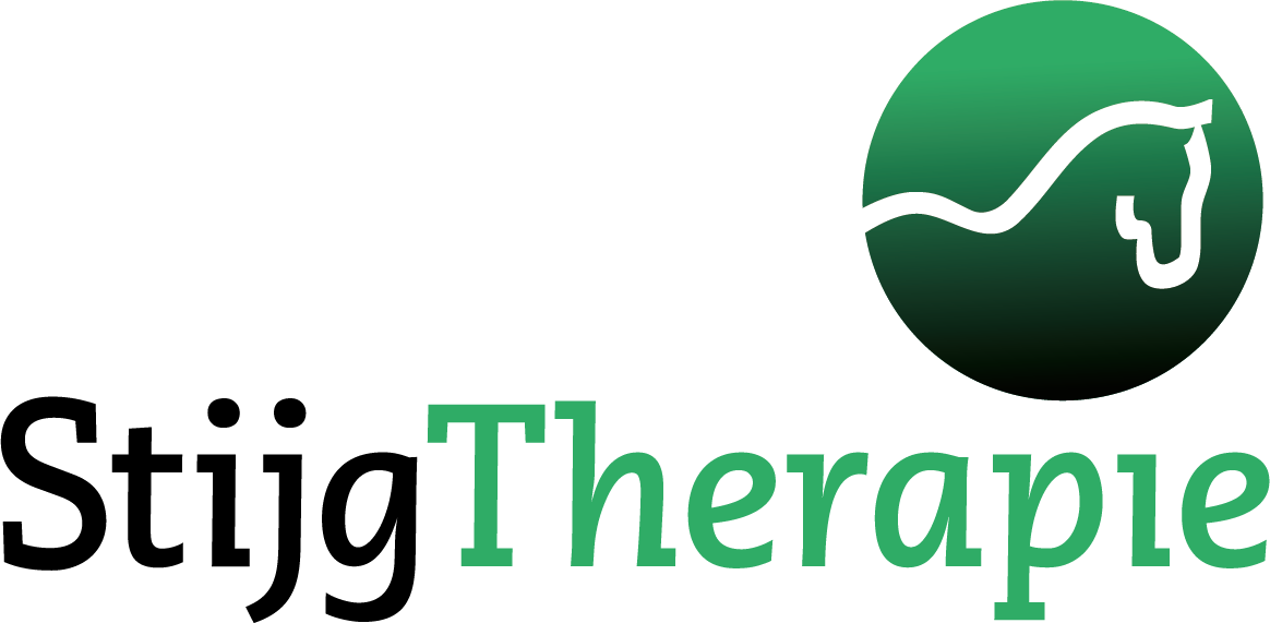 Stijg Therapie